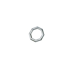 Octagonal Band (Platinum)
